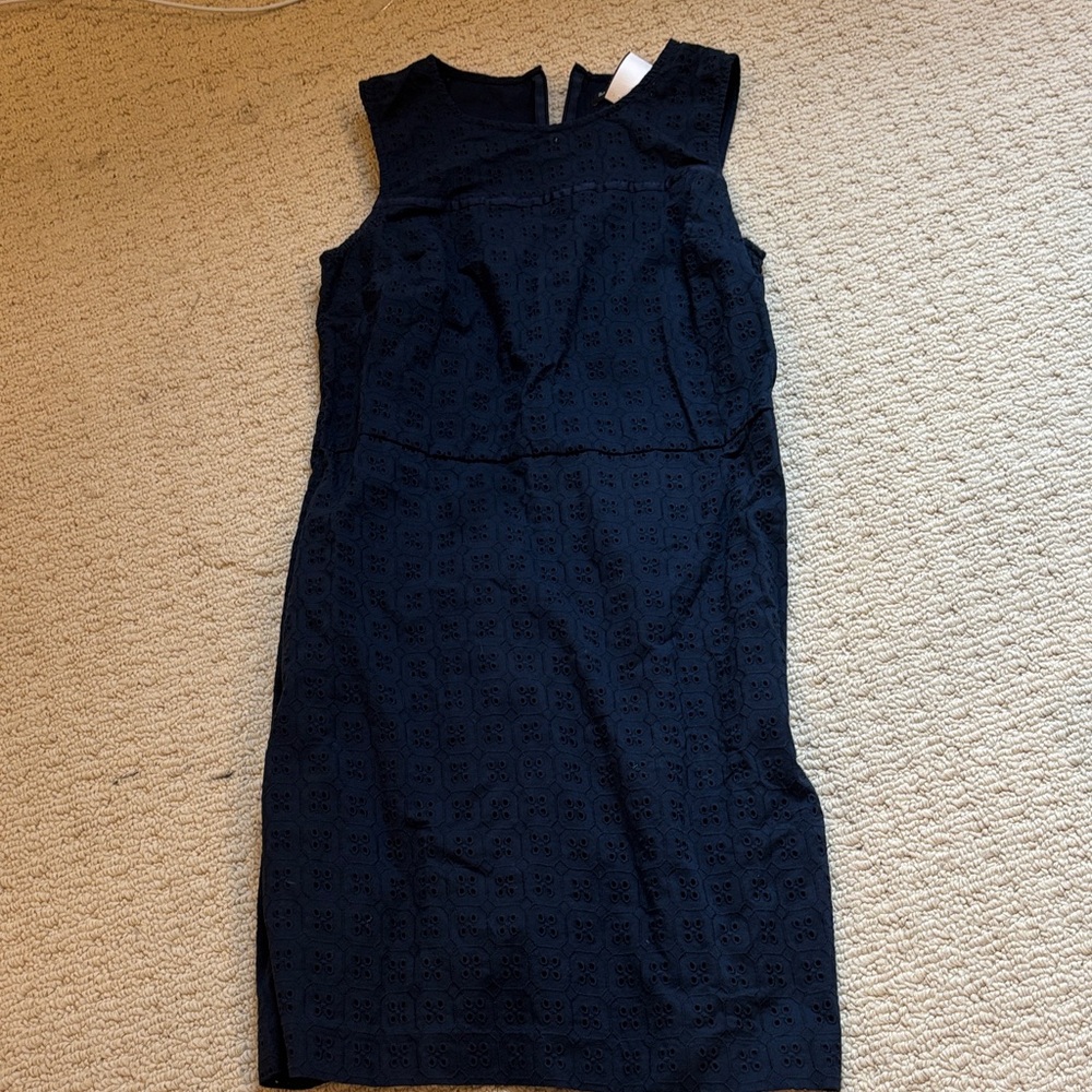 Banana Republic Navy Textured Mini Dress